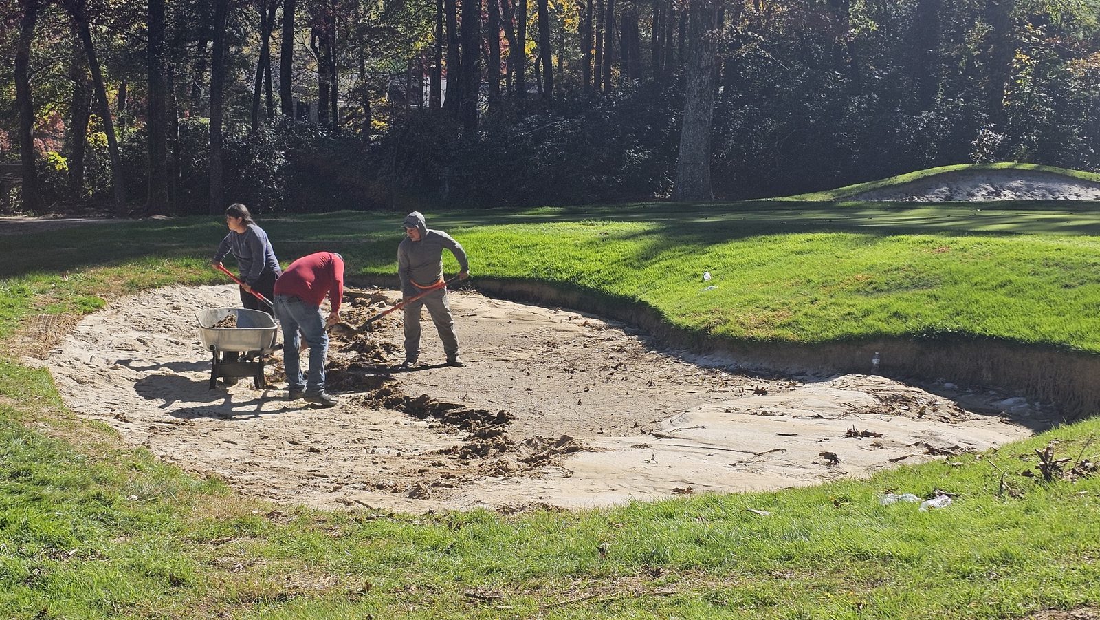 Bunker renovation shaping beside turf