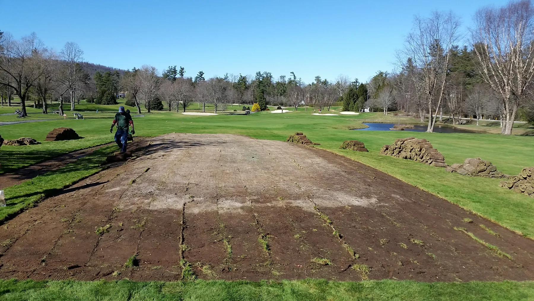 Stripped tee and sod