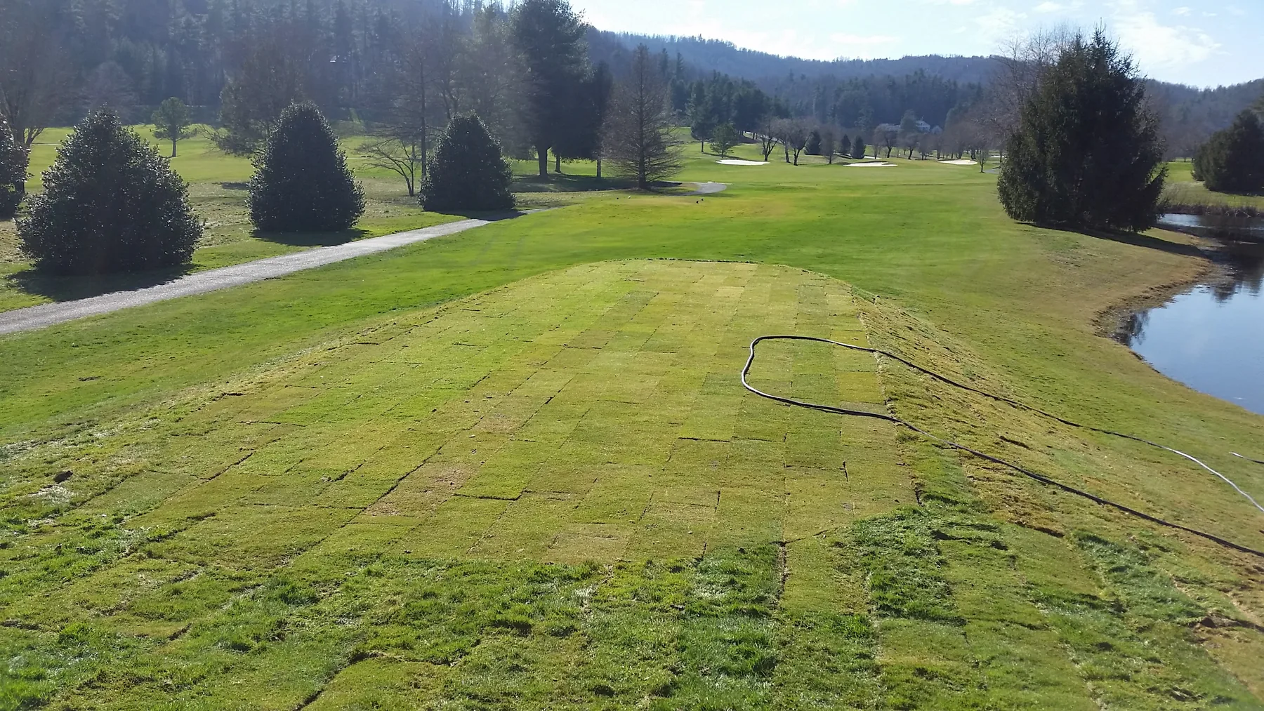 New sod tee