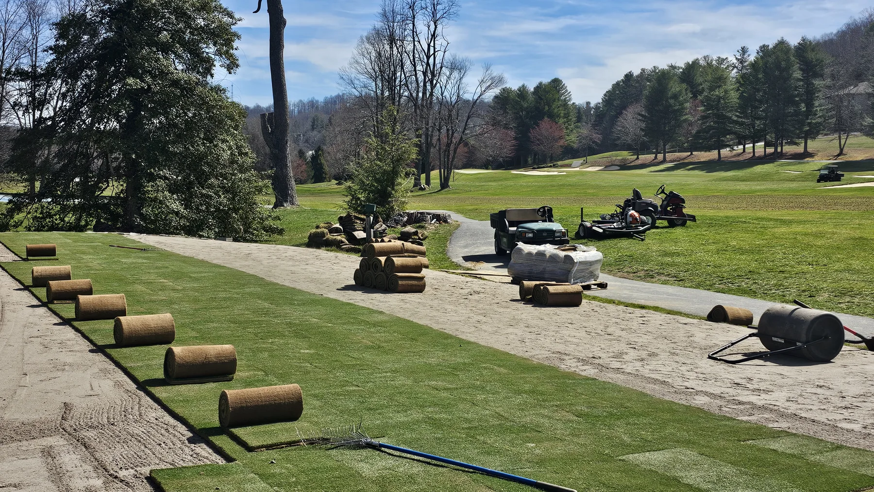 Sod staged by tee