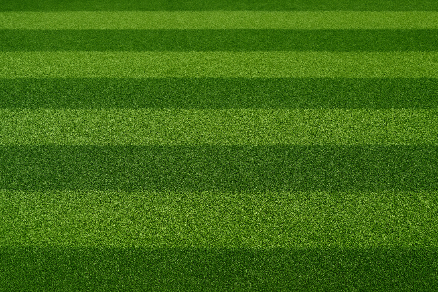 Striped residential lawn turf